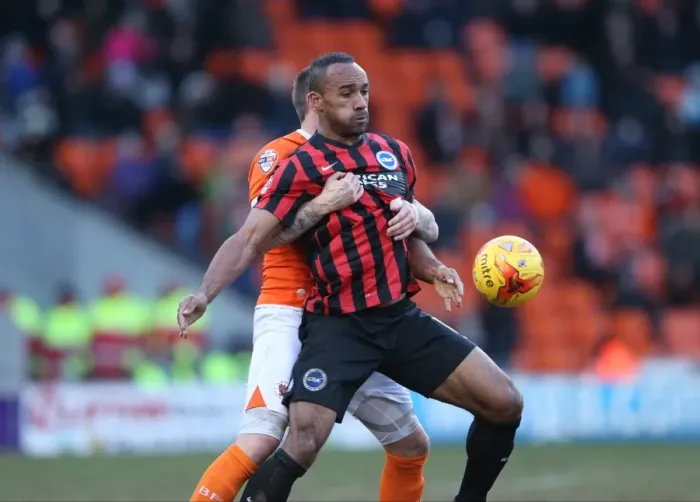 Framed Print : Chris O'Grady in Action: Blackpool vs. Brighton & Hove Albion, Sky Bet Championship (31st January 2015) Framed Print : Chris O'Grady in Action: Blackpool vs. Brighton & Hove Albion, Sky Bet Championship (31st January 2015)