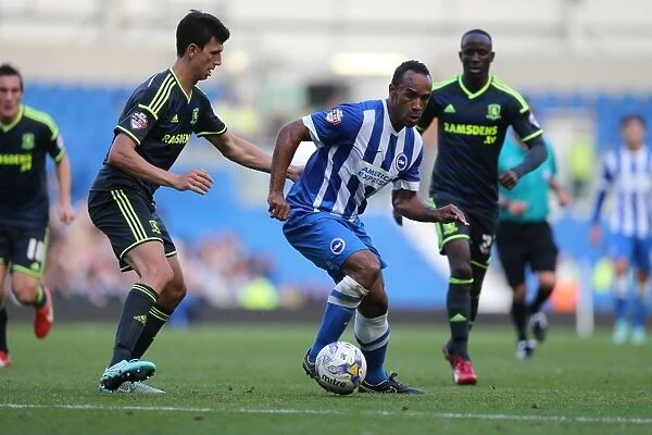 Chris O'Grady in Action: Brighton and Hove Albion vs. Middlesbrough, October 18, 2014