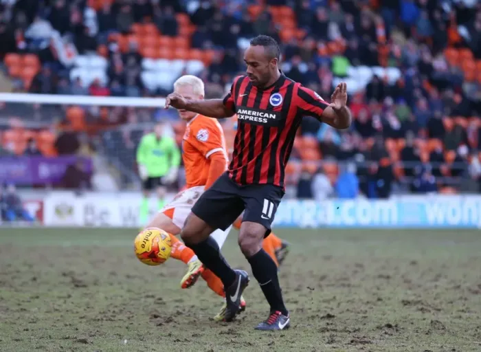 Framed Print : Chris O'Grady in Action: Brighton & Hove Albion vs. Blackpool, Sky Bet Championship (31st January 2015) Framed Print : Chris O'Grady in Action: Brighton & Hove Albion vs. Blackpool, Sky Bet Championship (31st January 2015)