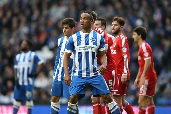 Chris O'Grady in Action: Brighton and Hove Albion vs Nottingham Forest, Sky Bet Championship, American Express Community Stadium, 7th February 2015