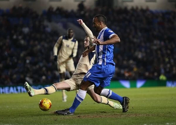 Chris O'Grady in Action: Brighton & Hove Albion vs Leeds United, 24 February 2015