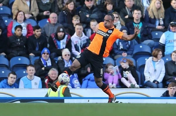 Chris O'Grady in Action: Brighton and Hove Albion vs. Blackburn Rovers, Sky Bet Championship, Ewood Park, 21st March 2015