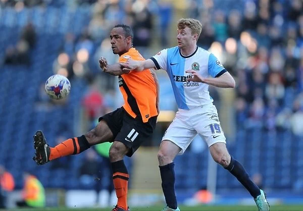 Chris O'Grady in Action: Brighton and Hove Albion vs. Blackburn Rovers, Sky Bet Championship, Ewood Park (21st March 2015)