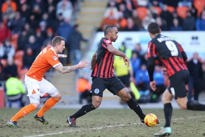 Framed Print : Chris O'Grady in Action: Brighton vs. Blackpool, Sky Bet Championship (31st January 2015) Framed Print : Chris O'Grady in Action: Brighton vs. Blackpool, Sky Bet Championship (31st January 2015)