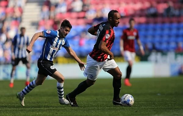 Chris O'Grady in Action: Wigan Athletic vs. Brighton and Hove Albion, Sky Bet Championship, 18th April 2015