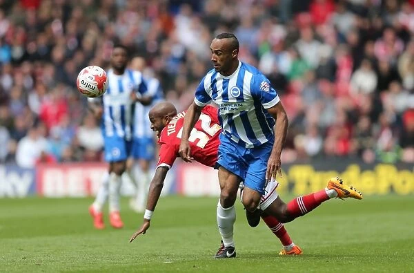 Chris O'Grady Faces Off: Middlesbrough vs. Brighton & Hove Albion, Sky Bet Championship Showdown, May 2015