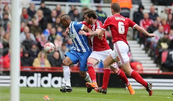 Chris O'Grady Faces Off: Middlesbrough vs. Brighton & Hove Albion, Sky Bet Championship Showdown (02MAY15)