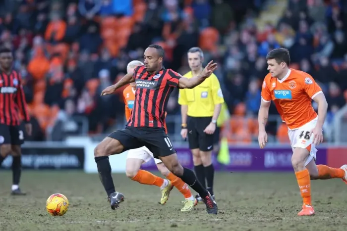 Framed Print : Chris O'Grady Scores for Brighton: Blackpool vs. Brighton and Hove Albion, Sky Bet Championship, 31st January 2015 Framed Print : Chris O'Grady Scores for Brighton: Blackpool vs. Brighton and Hove Albion, Sky Bet Championship, 31st January 2015