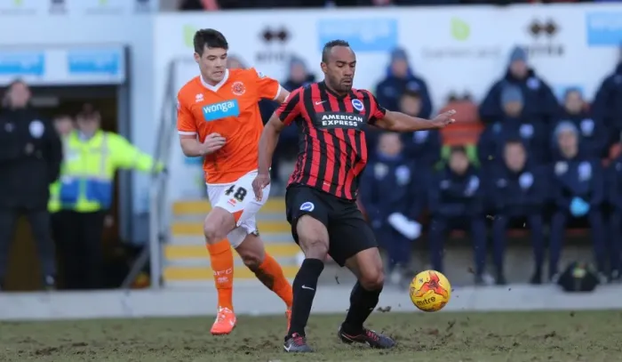 Framed Print : Chris O'Grady Strikes for Brighton: Blackpool vs. Brighton and Hove Albion, Sky Bet Championship, 31st January 2015 Framed Print : Chris O'Grady Strikes for Brighton: Blackpool vs. Brighton and Hove Albion, Sky Bet Championship, 31st January 2015