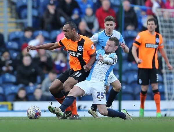 Chris O'Grady vs Jay Spearing: Intense Rivalry in the Sky Bet Championship Clash between Blackburn Rovers and Brighton & Hove Albion (21MAR15)
