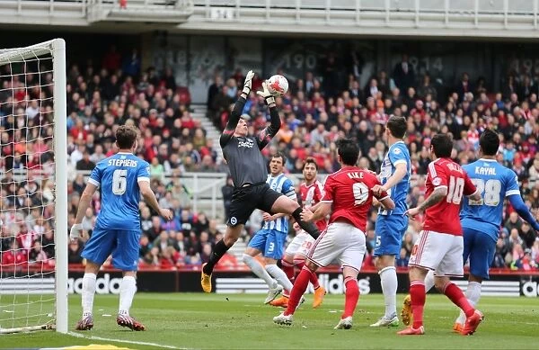Christian Walton in Action: Middlesbrough vs. Brighton & Hove Albion, May 2015