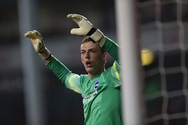 Christian Walton in Action: Tottenham vs. Brighton and Hove Albion in Capital One Cup