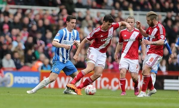 Clash in the Championship: Middlesbrough vs. Brighton & Hove Albion (02MAY15)