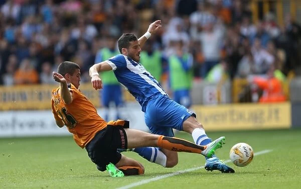 Clash in the Championship: Wolverhampton Wanderers vs. Brighton and Hove Albion (September 2015)