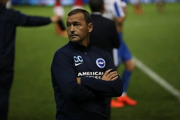 Colin Calderwood: Brighton & Hove Albion Assistant Manager Prepares for EFL Championship Clash Against Nottingham Forest (12th August 2016)