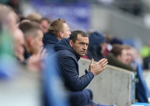 Colin Calderwood Focuses on the Game: Brighton and Hove Albion vs. Norwich City, Sky Bet Championship, 3rd April 2015
