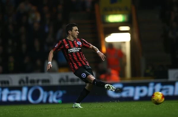 Colunga Scores Dramatic Penalty for Brighton against Norwich City (22NOV14)