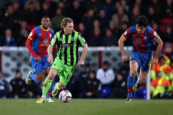 Craig Mackail-Smith in Action: Brighton & Hove Albion vs. Crystal Palace, Npower Championship, December 1, 2012