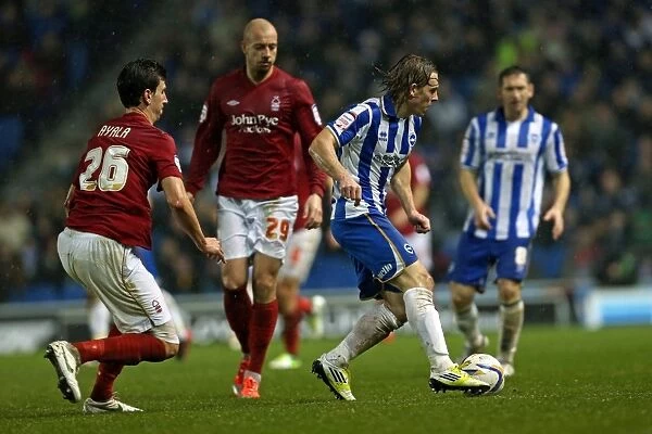 Craig Mackail-Smith in Action: Brighton & Hove Albion vs. Nottingham Forest, December 15, 2012