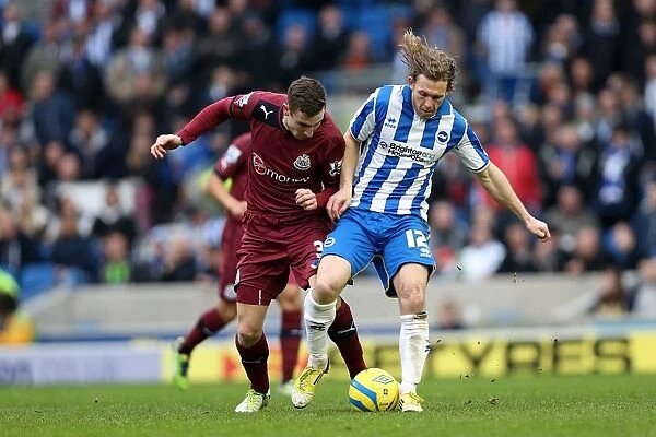 Craig Mackail-Smith in Action: Brighton & Hove Albion vs Newcastle United, FA Cup 3rd Round, January 5, 2013