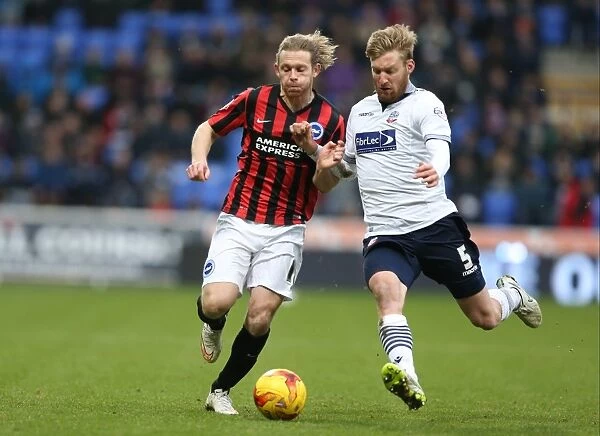 Craig Mackail-Smith in Action: Brighton and Hove Albion vs Bolton Wanderers, Sky Bet Championship 2015
