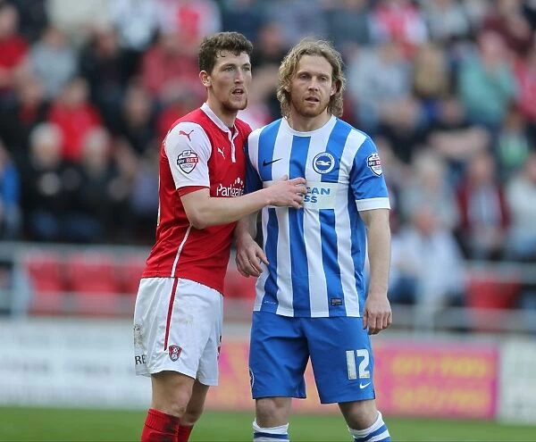 Craig Mackail-Smith: In Action for Brighton and Hove Albion vs. Rotherham United, Sky Bet Championship, 6th April 2015