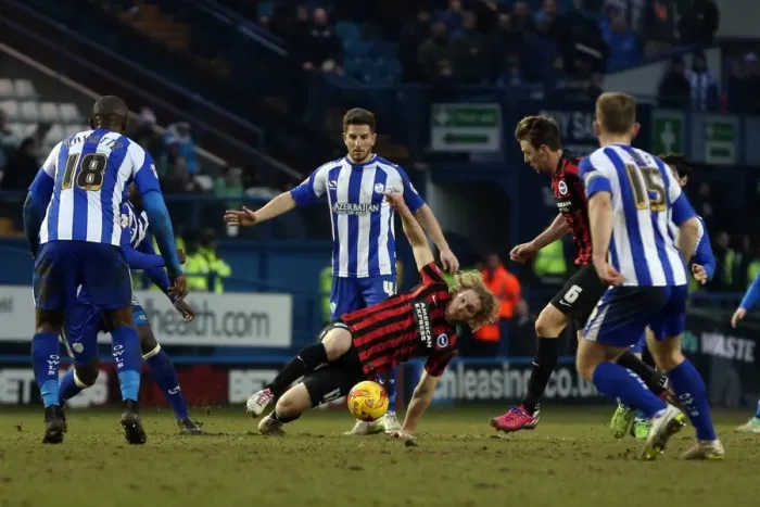 Framed Print : Craig Mackail-Smith: Thrilling Moments at Sheffield Wednesday vs. Brighton & Hove Albion, 14 February 2015 Framed Print : Craig Mackail-Smith: Thrilling Moments at Sheffield Wednesday vs. Brighton & Hove Albion, 14 February 2015