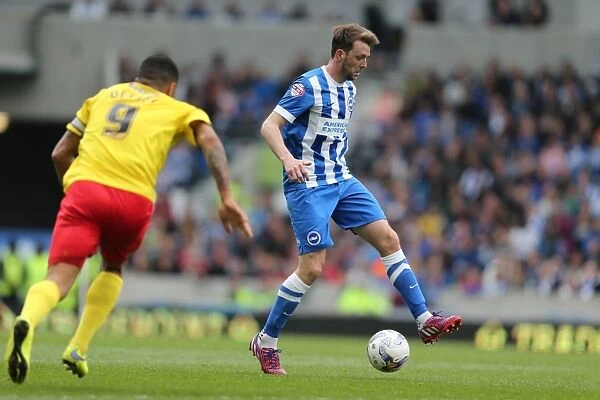 Dale Stephens: In Action Against Bournemouth, Sky Bet Championship, Brighton and Hove Albion, 25 April 2015