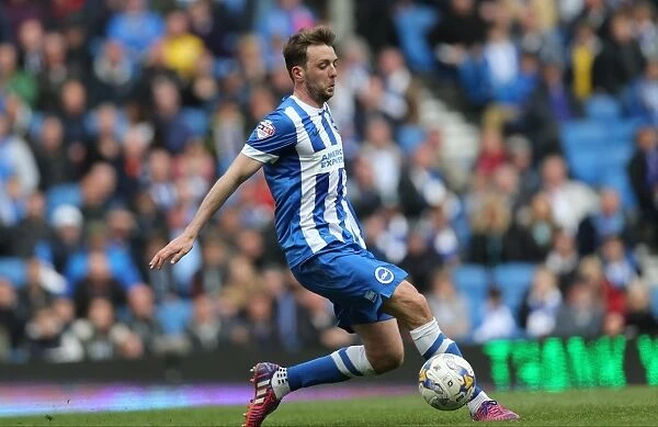 Dale Stephens: In Action Against Bournemouth, Sky Bet Championship, Brighton & Hove Albion, 25 April 2015