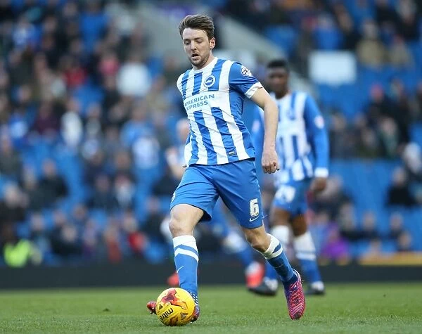 Dale Stephens in Action: Brighton and Hove Albion vs Birmingham City, 21 February 2015