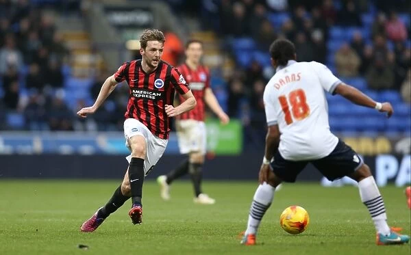 Dale Stephens in Action: Brighton and Hove Albion vs. Bolton Wanderers, Championship Clash (28FEB15)