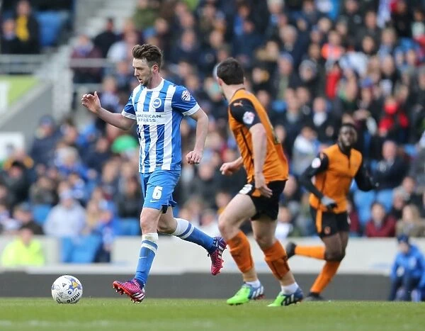 Dale Stephens in Action: Brighton & Hove Albion vs. Wolverhampton Wanderers (Championship Clash, March 14, 2015)
