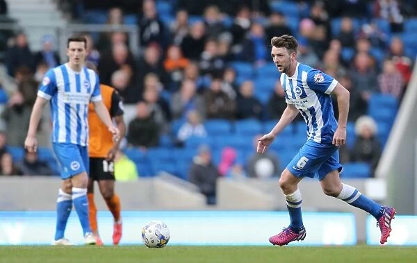 Dale Stephens in Action: Brighton and Hove Albion vs. Wolverhampton Wanderers, Sky Bet Championship 2015
