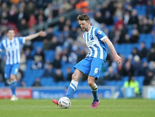 Dale Stephens in Action: Brighton & Hove Albion vs. Wolverhampton Wanderers (Championship Clash, March 2015)