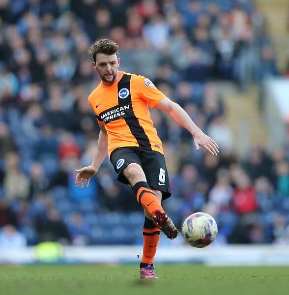 Dale Stephens in Action: Brighton and Hove Albion vs. Blackburn Rovers, Sky Bet Championship, March 2015