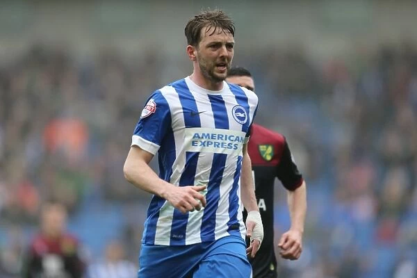 Dale Stephens in Action: Brighton & Hove Albion vs Norwich City (Sky Bet Championship, 03APR15)