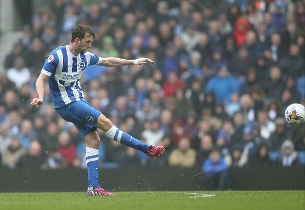 Dale Stephens in Action: Brighton & Hove Albion vs Norwich City (Sky Bet Championship, 3rd April 2015)