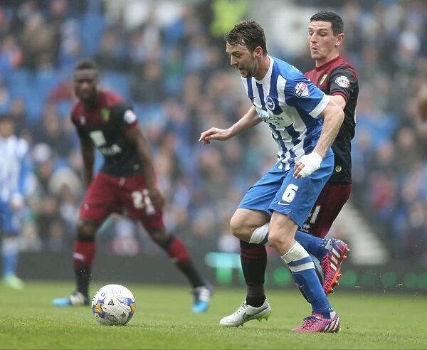 Dale Stephens in Action: Brighton & Hove Albion vs Norwich City (Sky Bet Championship, 3rd April 2015)