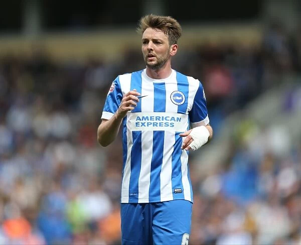 Dale Stephens in Action: Brighton & Hove Albion vs. Watford, 2015
