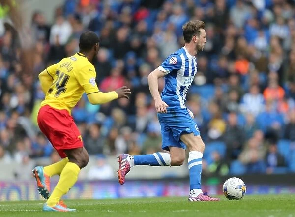 Dale Stephens in Action: Brighton and Hove Albion vs. Watford, Sky Bet Championship 2015