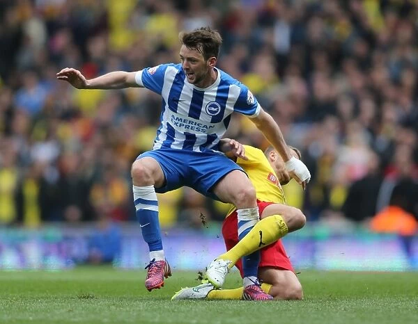 Dale Stephens in Action: Brighton & Hove Albion vs. Watford, Sky Bet Championship, 25 April 2015