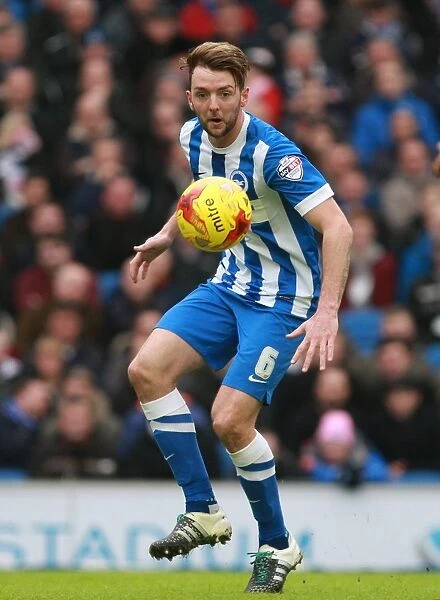 Dale Stephens in Action: Brighton and Hove Albion vs. Huddersfield Town, Sky Bet Championship (23rd January 2016)