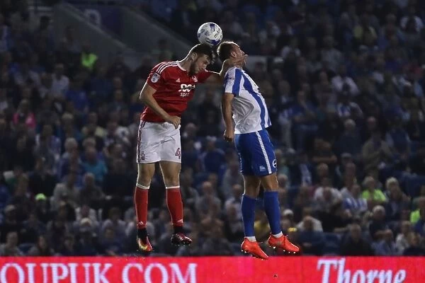 Dale Stephens in Action: Brighton & Hove Albion vs. Nottingham Forest, EFL Sky Bet Championship (August 12, 2016)