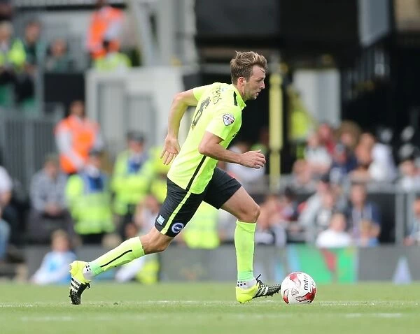 Dale Stephens in Action: Fulham vs. Brighton and Hove Albion, Sky Bet Championship 2015 - Central Midfielder's Determined Performance