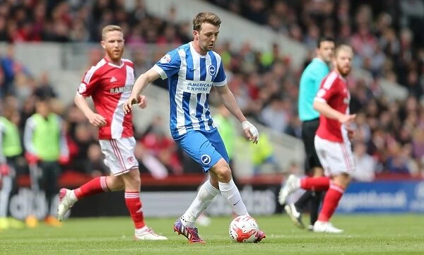 Dale Stephens in Action: Middlesbrough vs. Brighton & Hove Albion, Sky Bet Championship (2015)