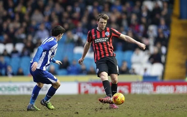 Dale Stephens in Action: Sheffield Wednesday vs. Brighton and Hove Albion, Championship Clash at Hillsborough (14FEB15)