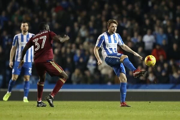Dale Stephens: Central Midfielder in Action for Brighton & Hove Albion vs Ipswich Town, EFL Sky Bet Championship (14 February 2017)