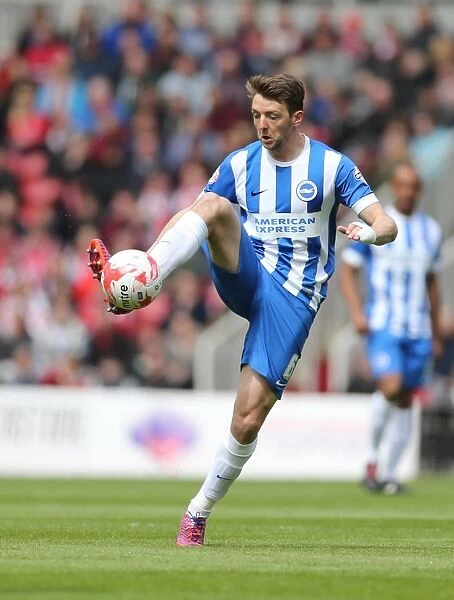 Dale Stephens: Intense Concentration during Middlesbrough vs. Brighton & Hove Albion Championship Clash (02MAY15)