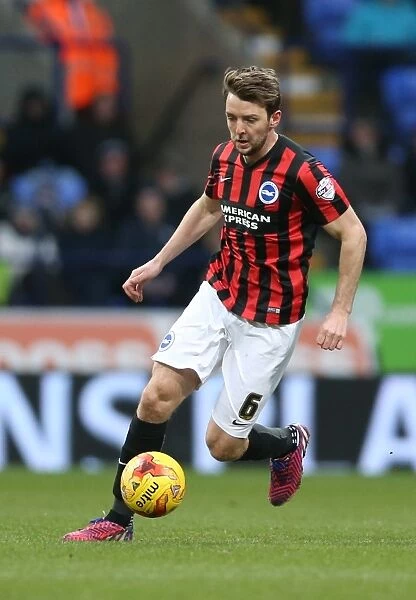 Dale Stephens: Midfield Battle in Brighton and Hove Albion vs. Bolton Wanderers, Sky Bet Championship (28FEB15)