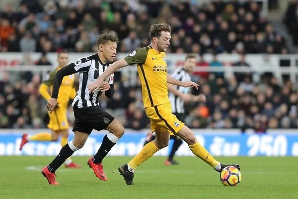 Dale Stephens Shields Ball from Dwight Gayle: Intense Midfield Battle at St. James Park (Newcastle United vs. Brighton and Hove Albion, 30DEC17)